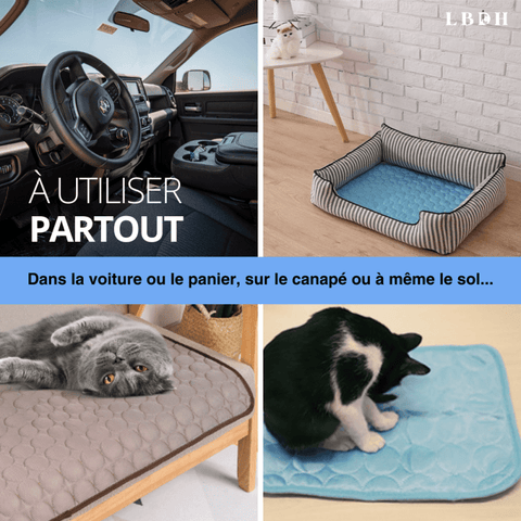 le tapis rafraichissant pour chat peut s'utiliser partout tant qu'il est à l'abri