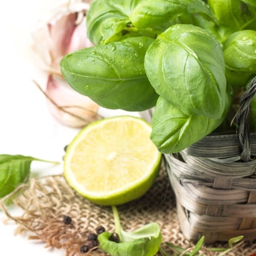 Slechthorend Tonen suspensie Lime Basil Mandarin Fragrance Oil – Pro Candle Supply
