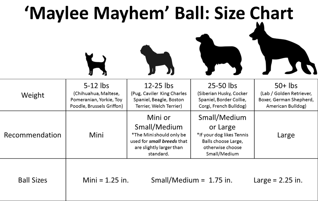 American Cocker Spaniel Size Chart