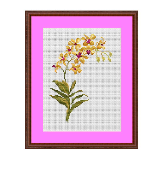 Orchid Cross Stitch Pattern Funny Cross Stitch