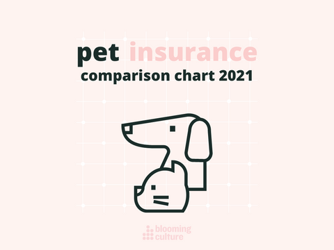 pet insurance for dog and cats