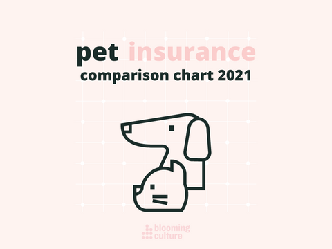 top 19 pet insurances for your dog or cat