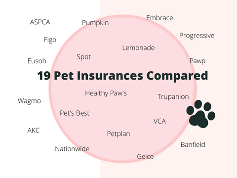 best pet insurance from 19 companies