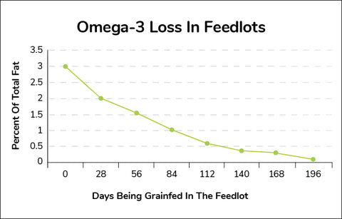 Omega-3 Loss in Feedlots