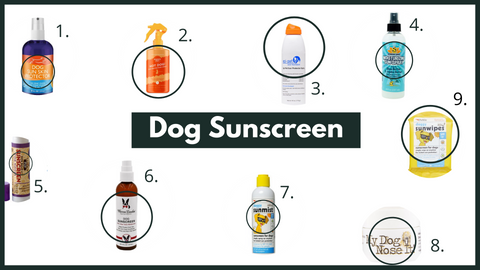 Dog Friendly Sunscreens