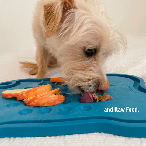 Pet platter supports dog wellbeing.