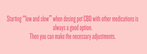 Pet Medication and CBD