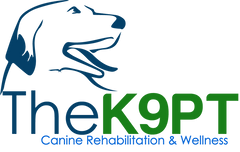 The K9PT Canine Rehabilitation and Wellness logo