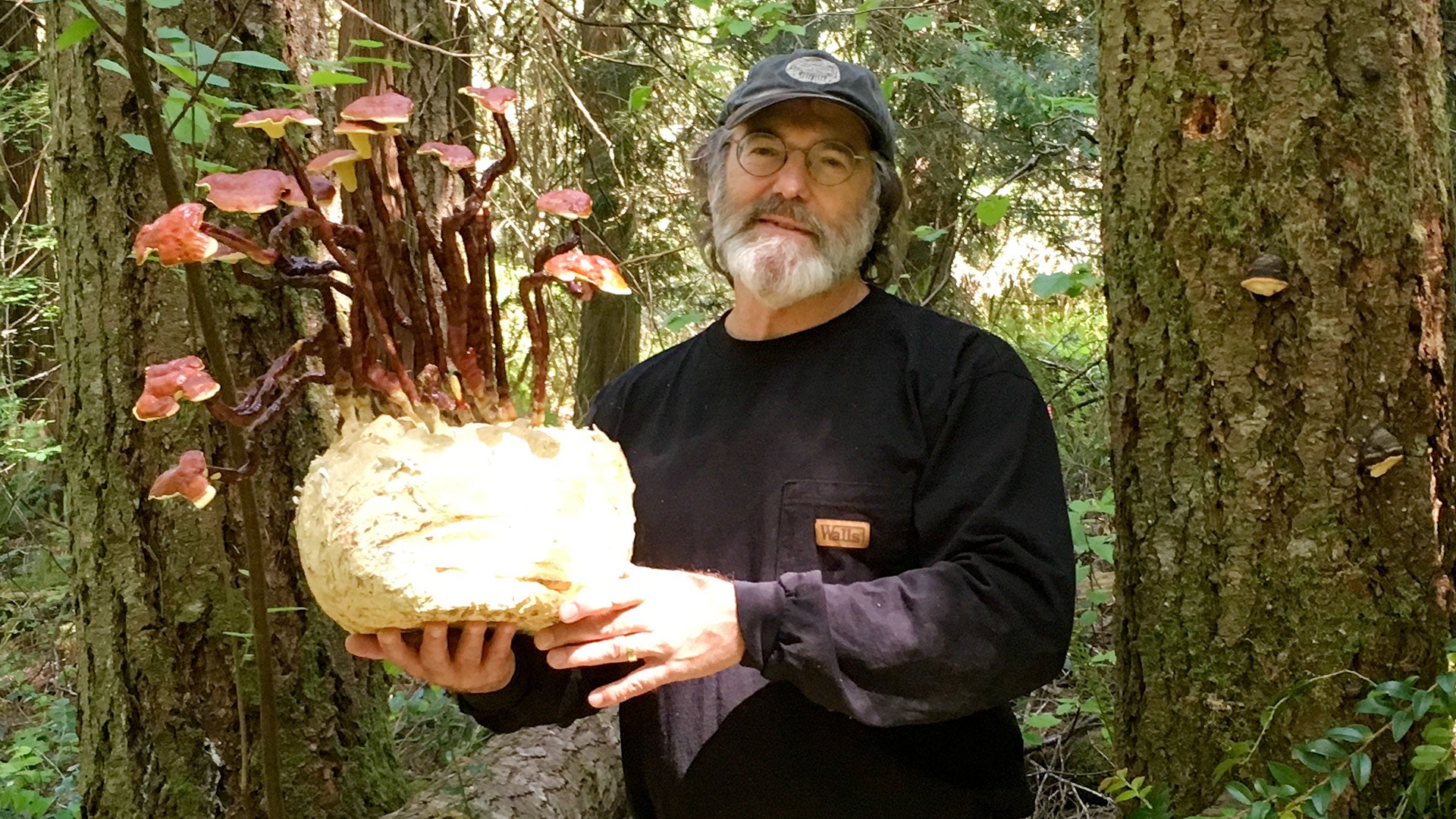 Paul Stamets Joins the AAASLemelson Invention Ambassadors — Fungi Perfecti
