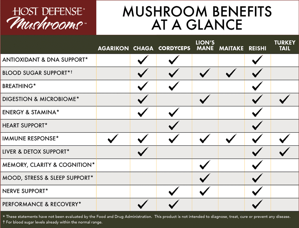 Mushroom Benefits at a Glance