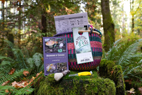 Products sitting on rock in forest