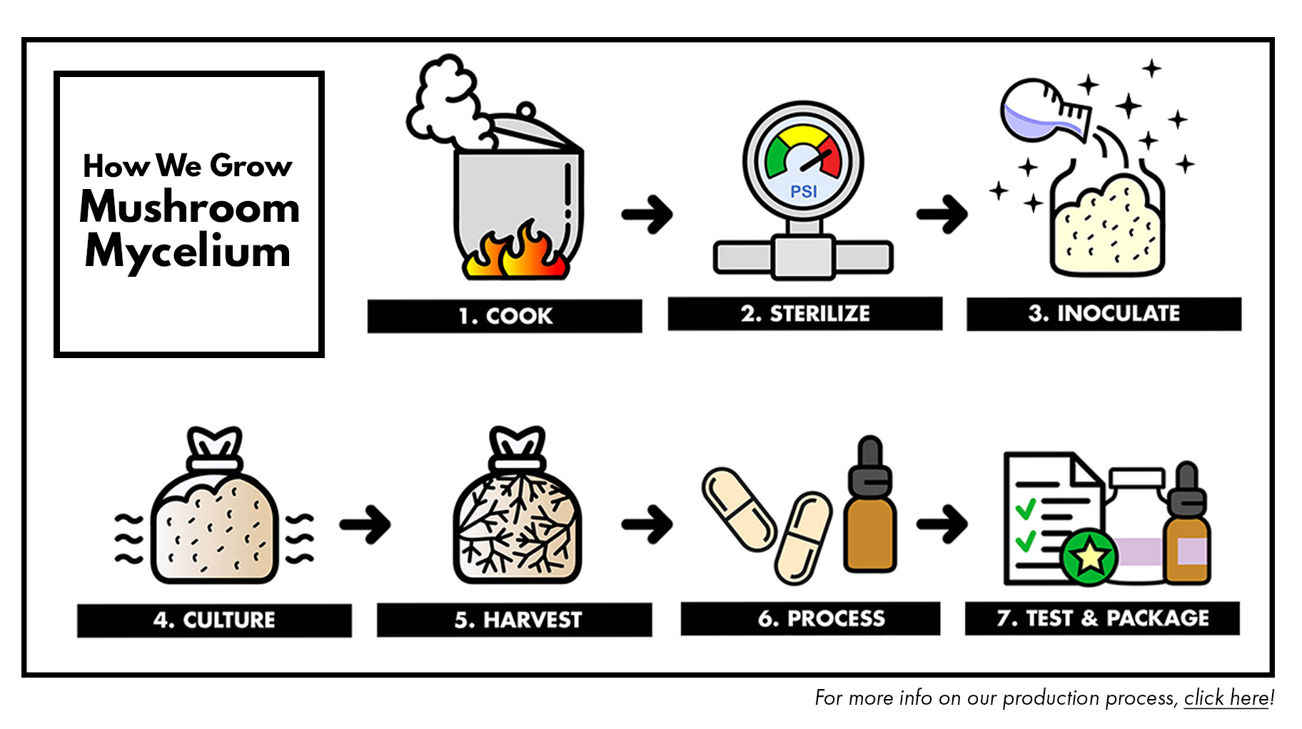 How We Grow Host Defense Mushroom Mycelium Infographic