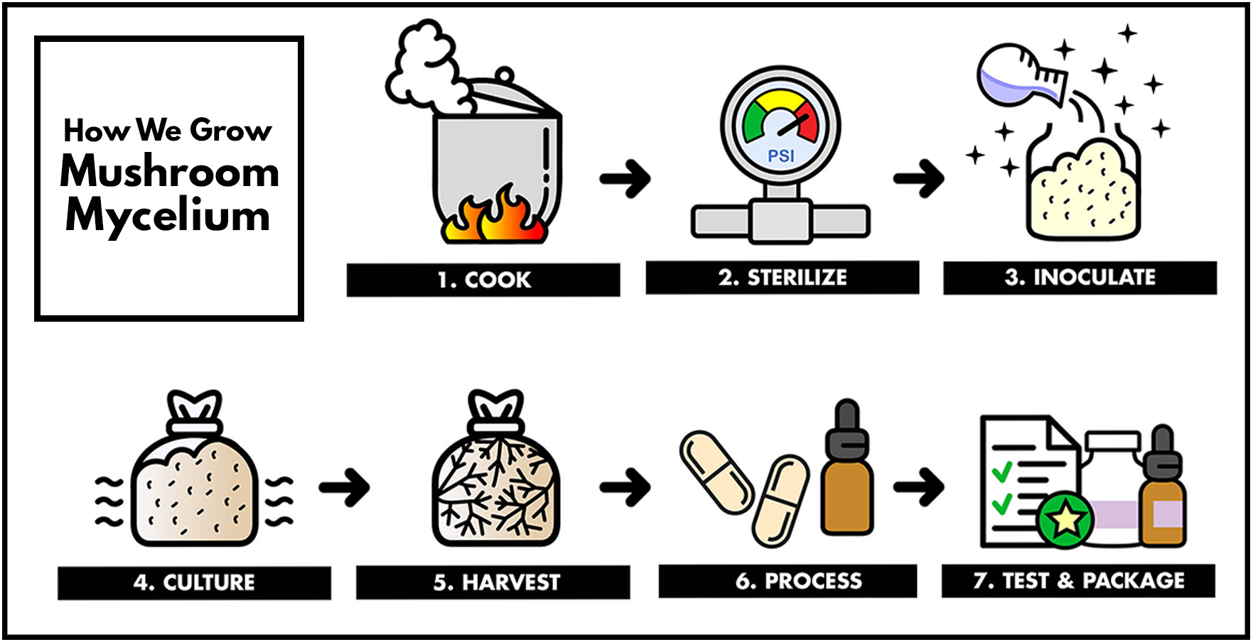 How We Grow Mushroom Mycelium