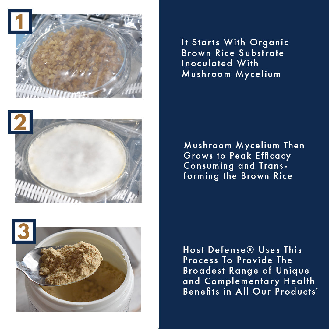 Benefits of Mycelium