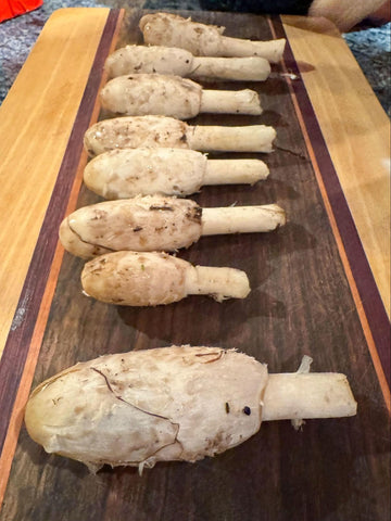 Mushrooms on a wooden board