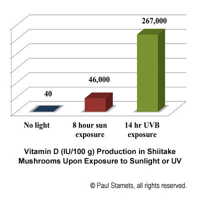 Sunlight Chart