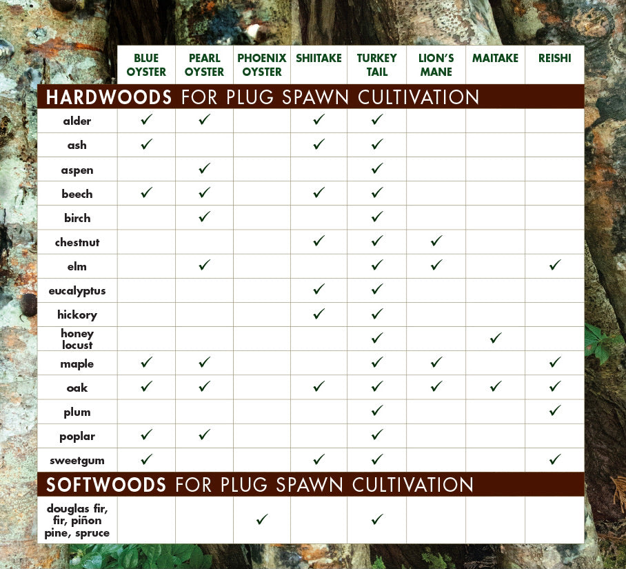 Chart showing Tree Species for Plug Spawn Cultivation