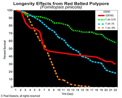 Longevity Graph