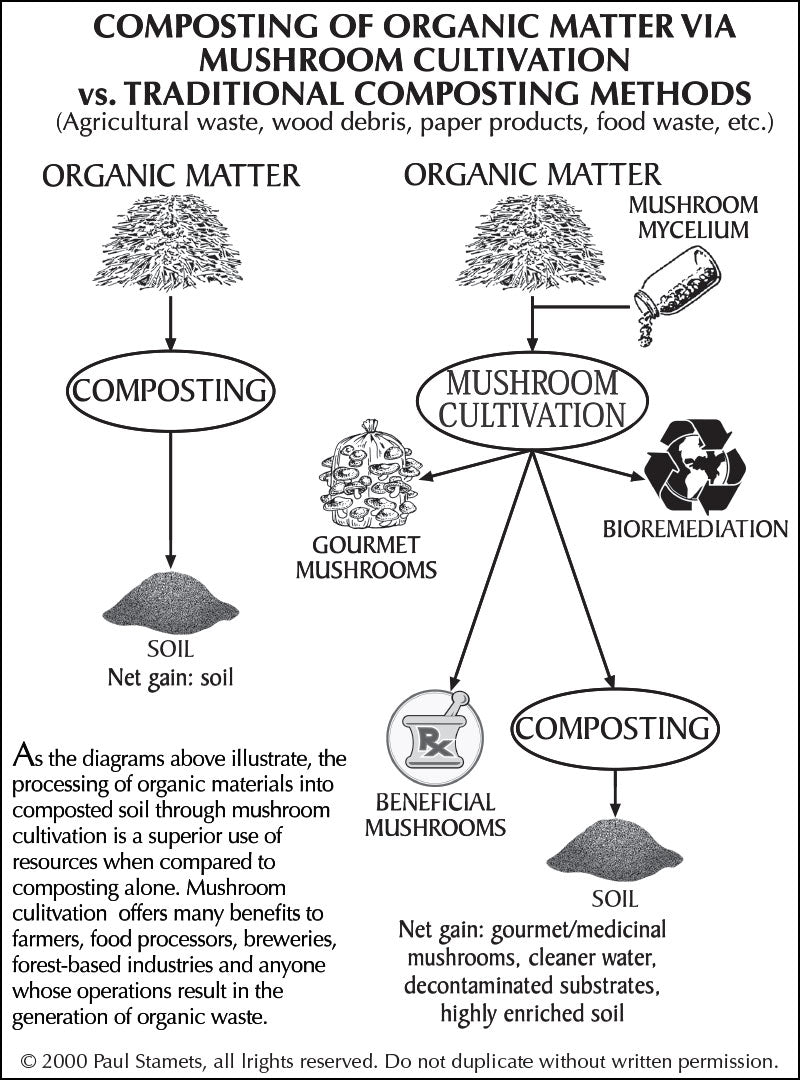 Composting comparison diagram