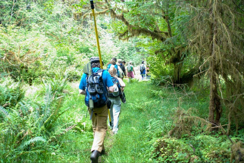 People walking through a forest