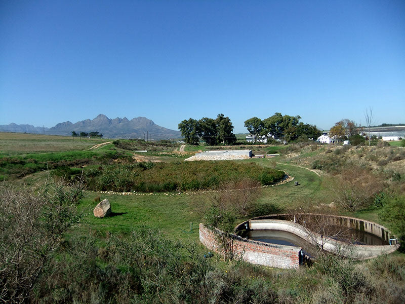 Spier Winery, Cape Town, South Africa