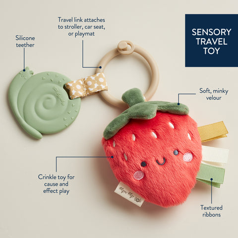 Features of the Itzy Ritzy Pal with a Strawberry shown.