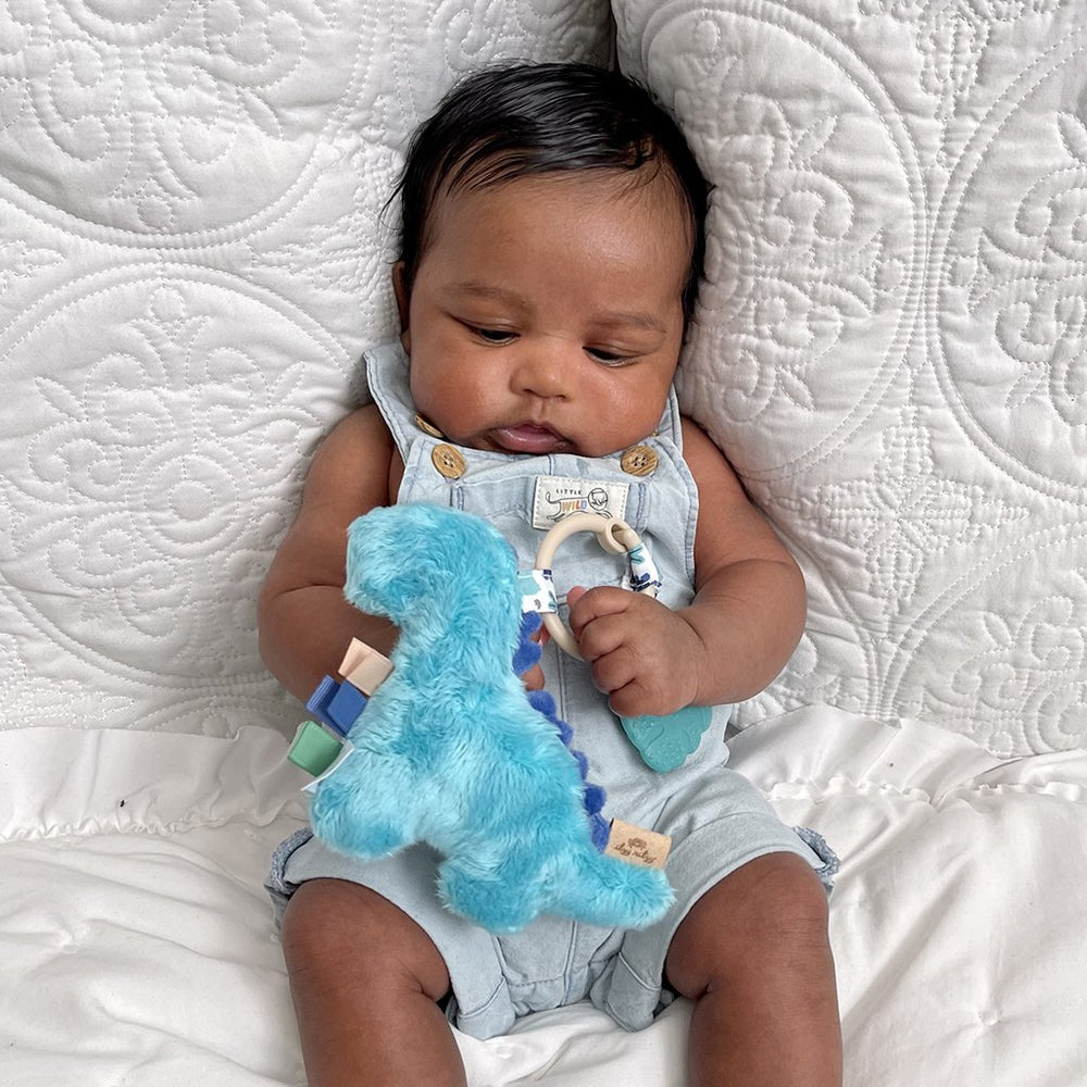 Itzy Lovey™ Plush and Teether Toy - Ana the Bunny