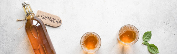 What Are the Benefits of Kombucha?