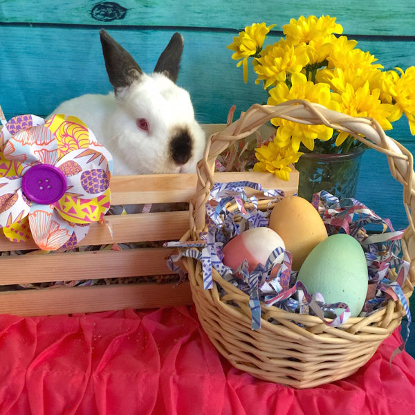 Bunny and Easter Eggs in Basket