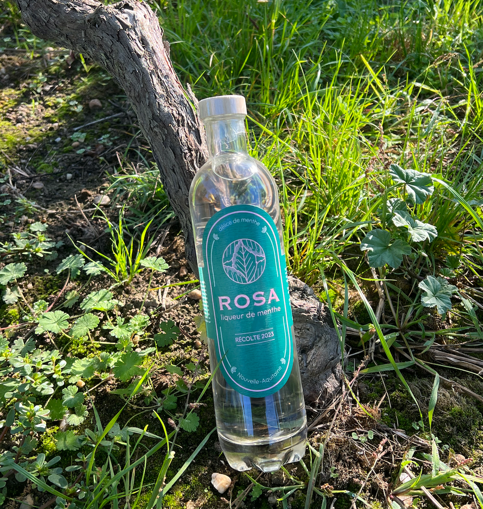 Rosa liqueur de menthe