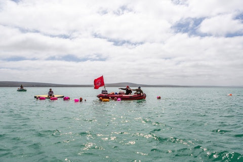 Langebaan Express Sunbird Rooibos