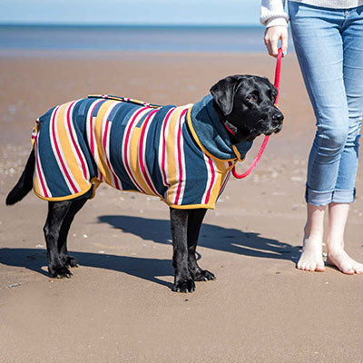 Ruff and Tumble Beach Hunde-Trockenmantel aus gestreiftem Baumwollfrottee