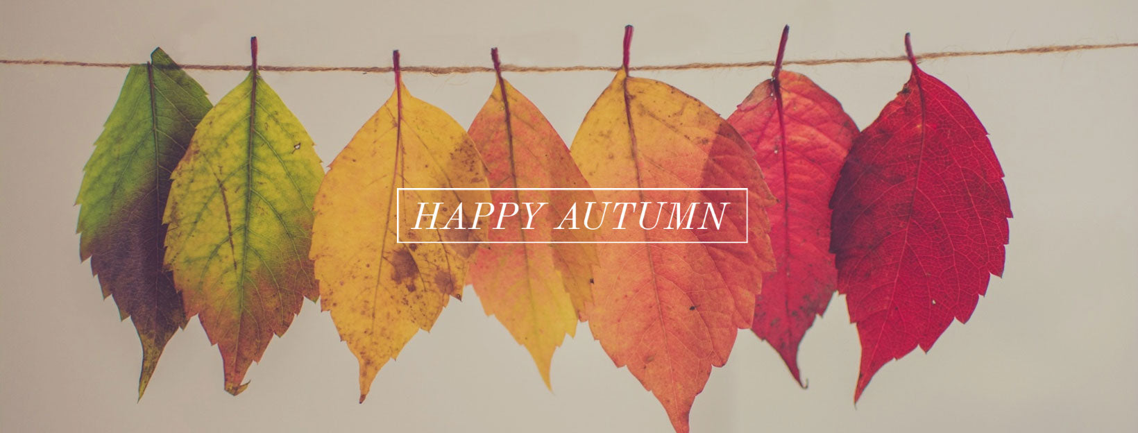 Happy Autumn!