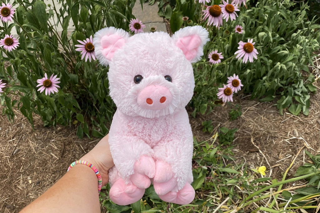 An image of Penny the Pig being held in front of flowers