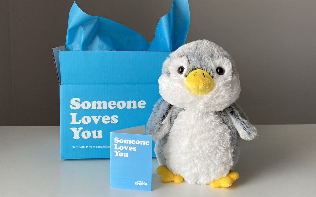 Pepper the Penguin stuffed animal with "someone loves you" box and notecard