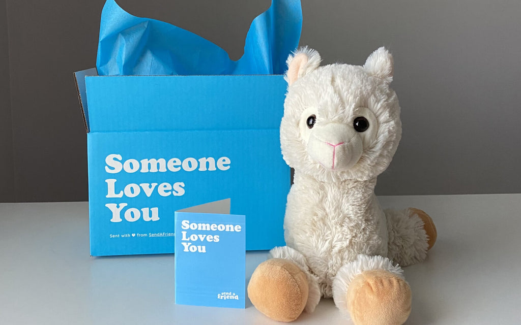 Lawrence the Llama stuffed animal care package