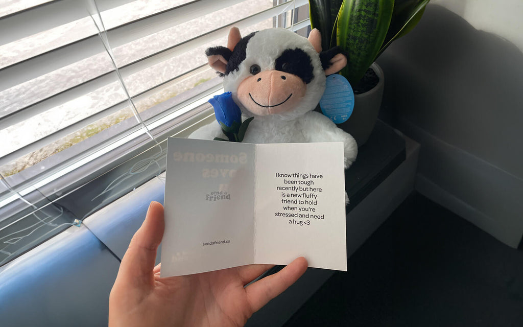 An image of Cooper the Cow sitting by a window and plant with an artificial blue rose and a hand holding a notecard that says: "I know things have been tough recently but here is a new fluffy friend to hold when you're stressed and need a hug <3"