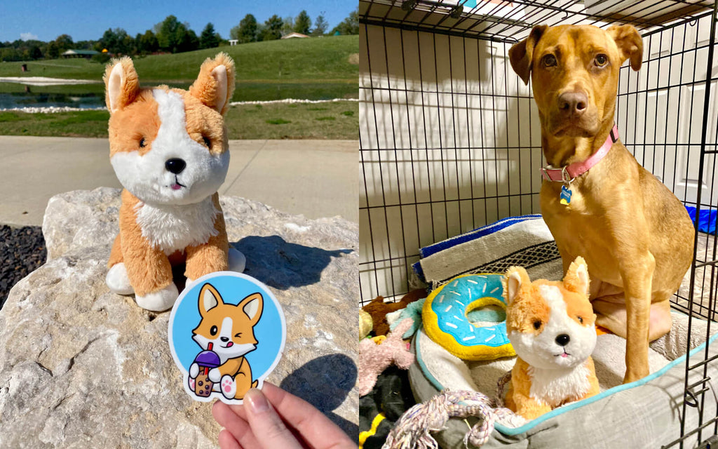 Nax Caki Corgi Dog gifts 3D Ice Cube Mold Fun Shapes, Large Craft Dog Ice  Mold Gifts for Dog Mom/Dad/Corgi Lover, Big Dog Ice Cube Trays for Whiskey