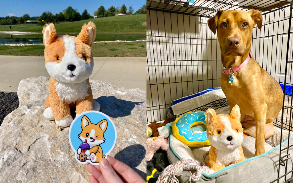 a dog sitting with a comet the corgi stuffed animal and sticker