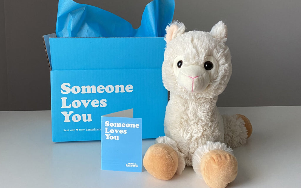 Lawrence the Llama stuffed animal with "someone loves you" box and notecard