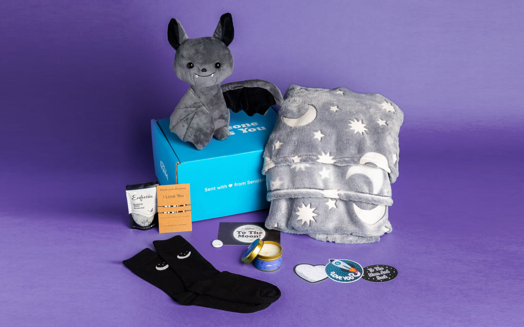 Binks the Bat With Deluxe to the Moon & Back Care Package Items