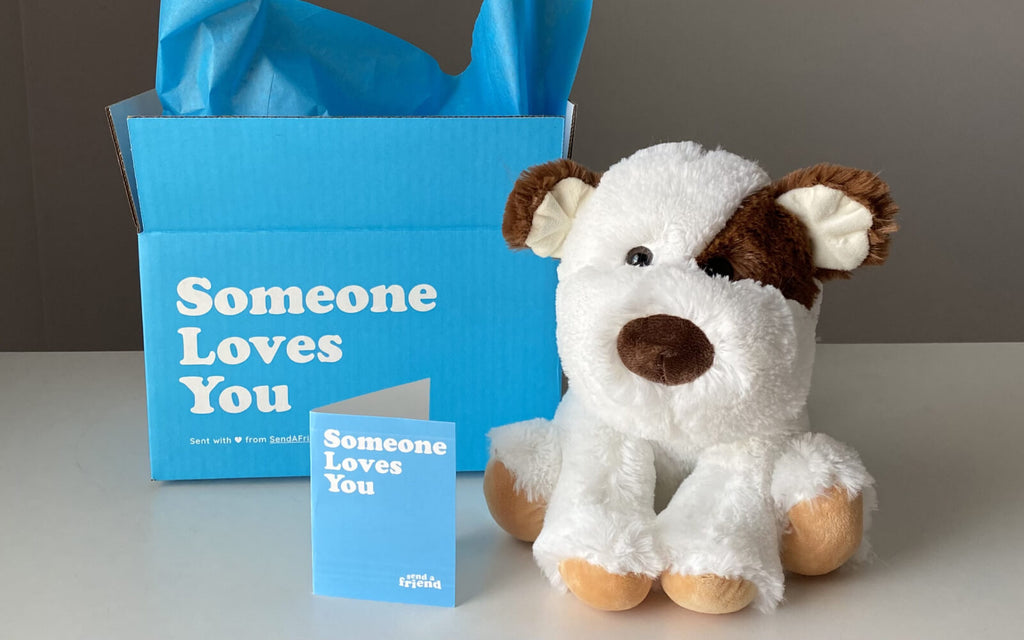 Peanut the Puppy stuffed animal with "someone loves you" box and notecard
