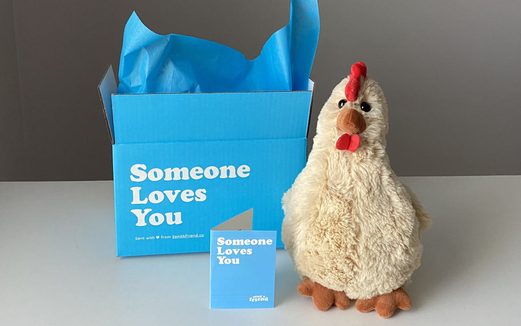 Rowdy the Rooster stuffed animal with "Someone Loves You" box and notecard