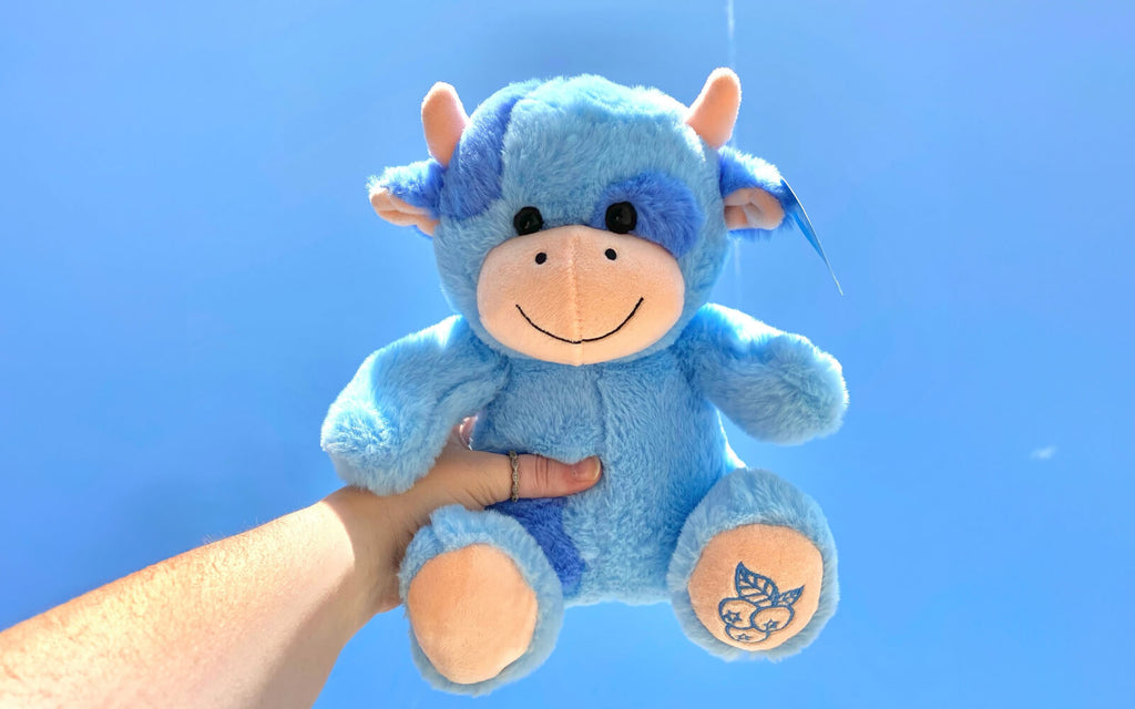 person holding Beau the Blueberry cow stuffed animal in the air
