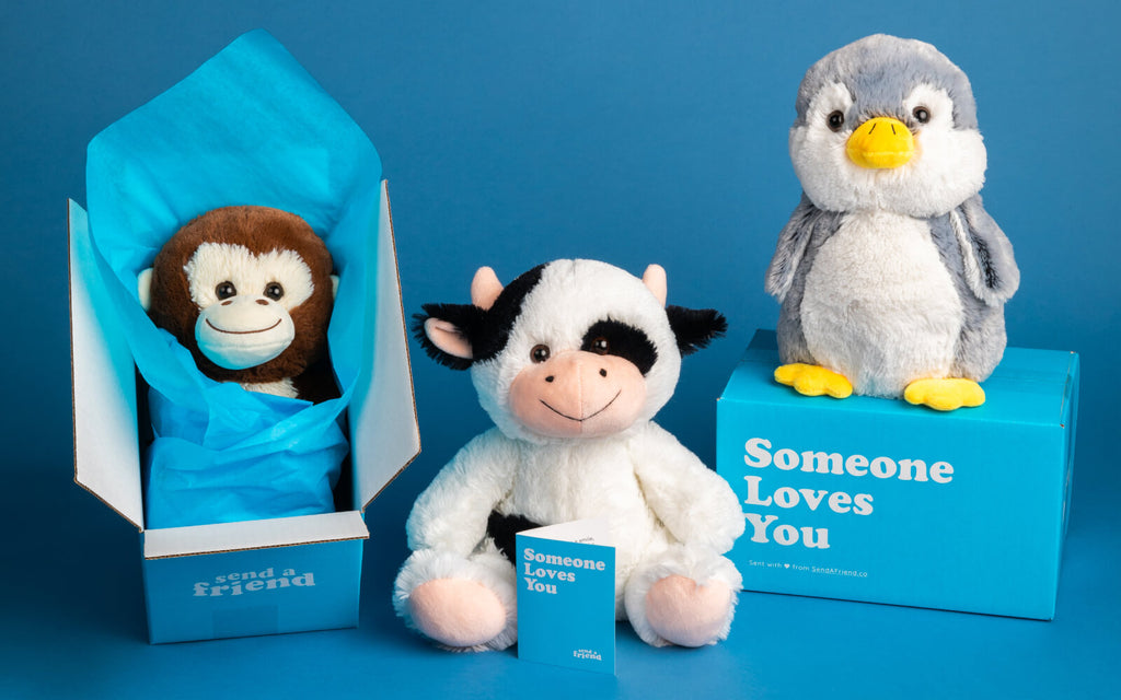 monkey, cow, and penguin stuffed animal with a notecard and boxes