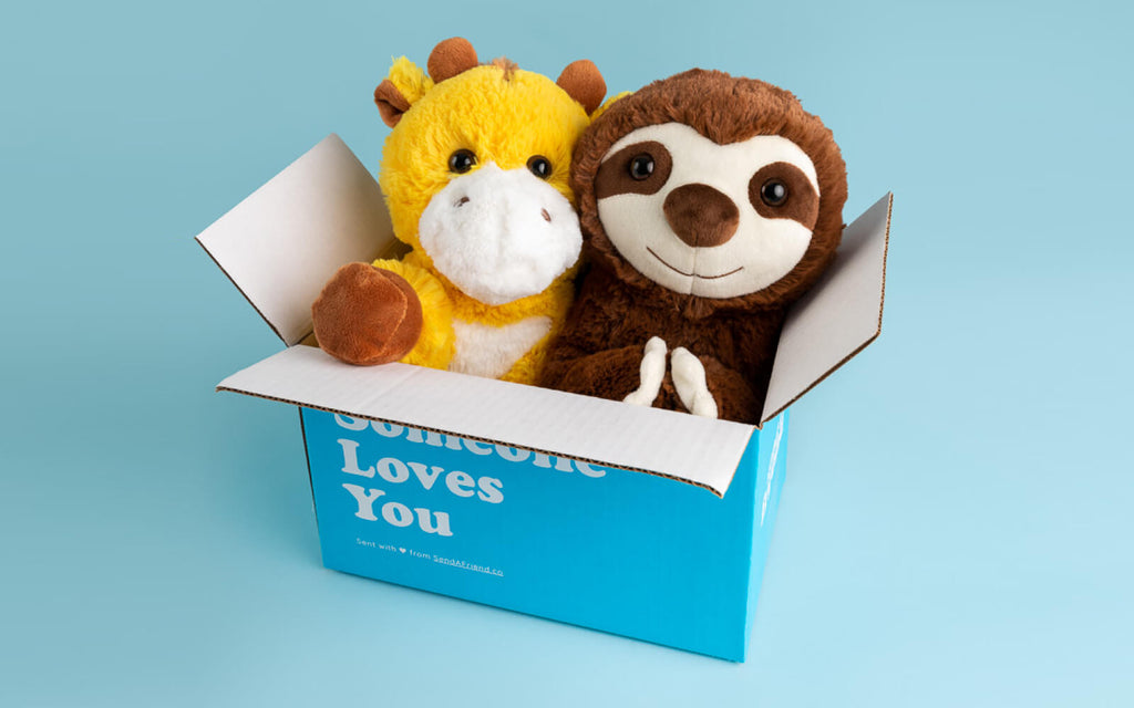 stuffed animal giraffe and sloth in box