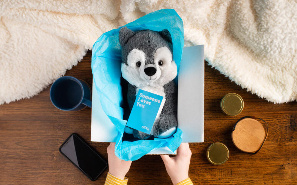 Winston the Wolf stuffed animal in box with notecard