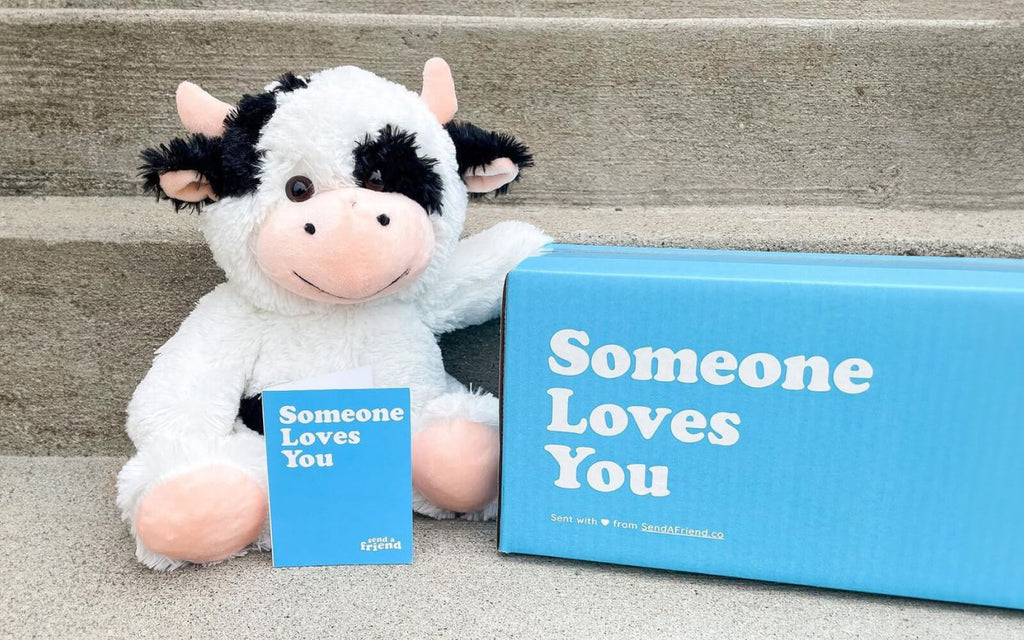 Cooper the Cow stuffed animal with "Someone Loves You" box and notecard