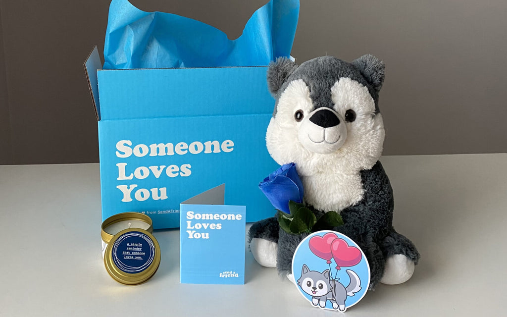 Winston the Wolf stuffed animal care package