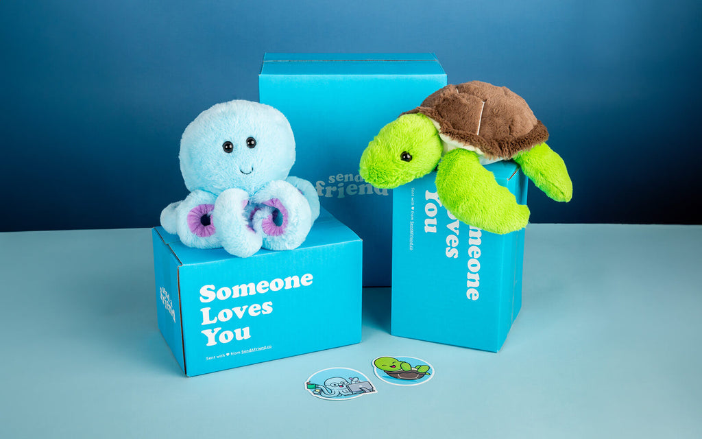 A photo of Ollie the Octopus and Tucker the Turtle sitting on Someone Loves You boxes, their matching stickers sitting below